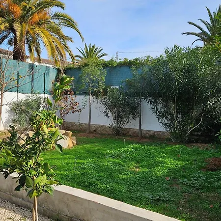 Altomira Denia